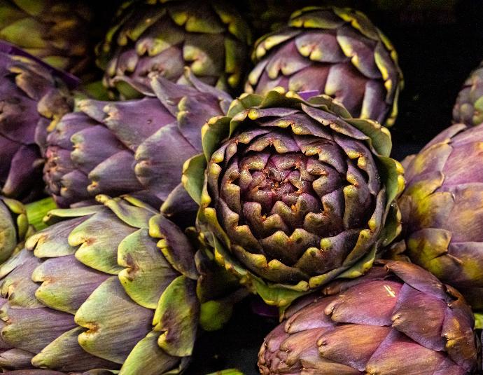 Artichoke P.E. 5% Cynarin (18779)