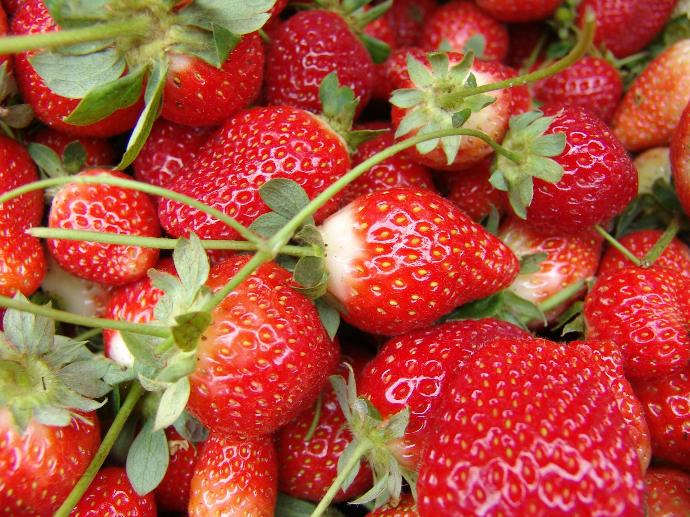 Strawberry Flavor L. (16903) 