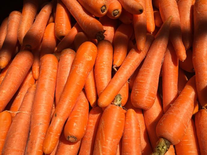 ORGANIC Carrot, cut 1-3 mm (18758)