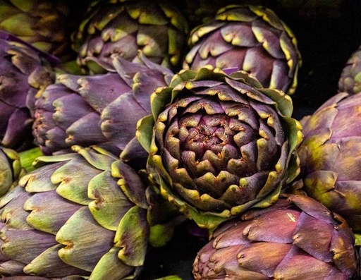 [26112] Artichoke P.E. 5% Cynarin (18779)