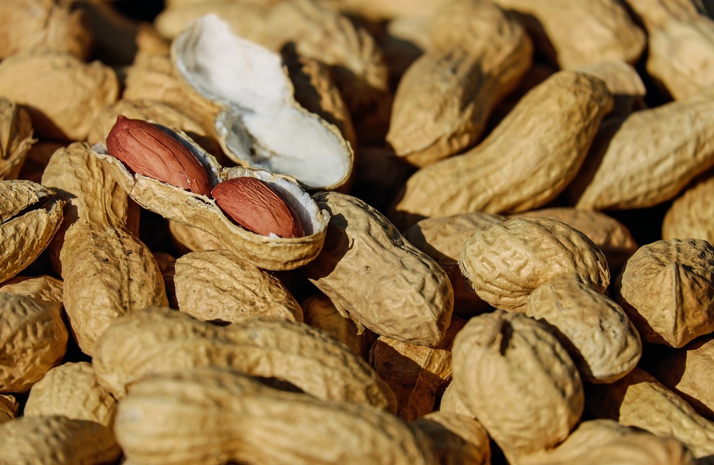 Luteolin 98% ex Peanut Shell P.E.