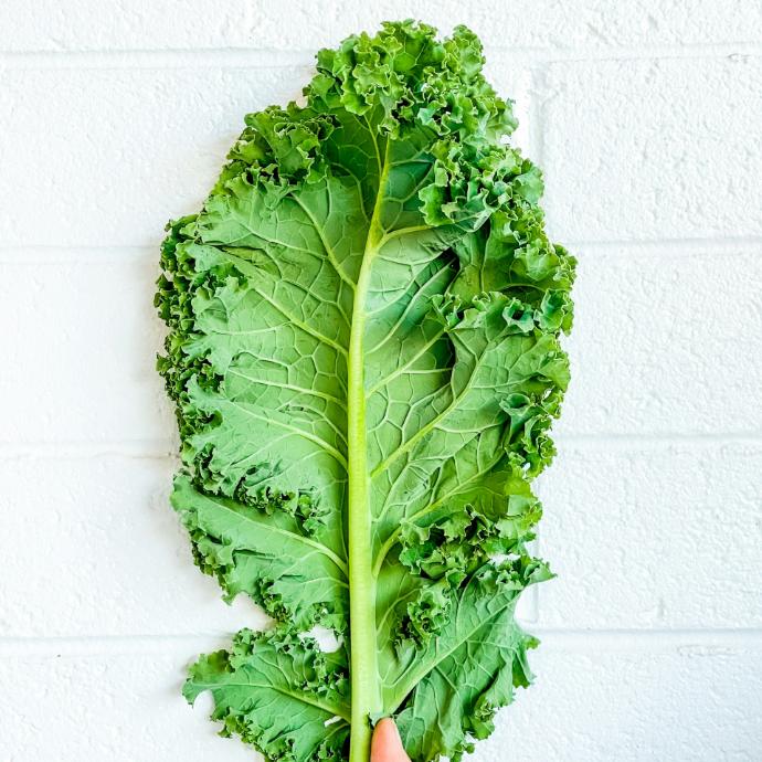 Kale P.E. 4:1