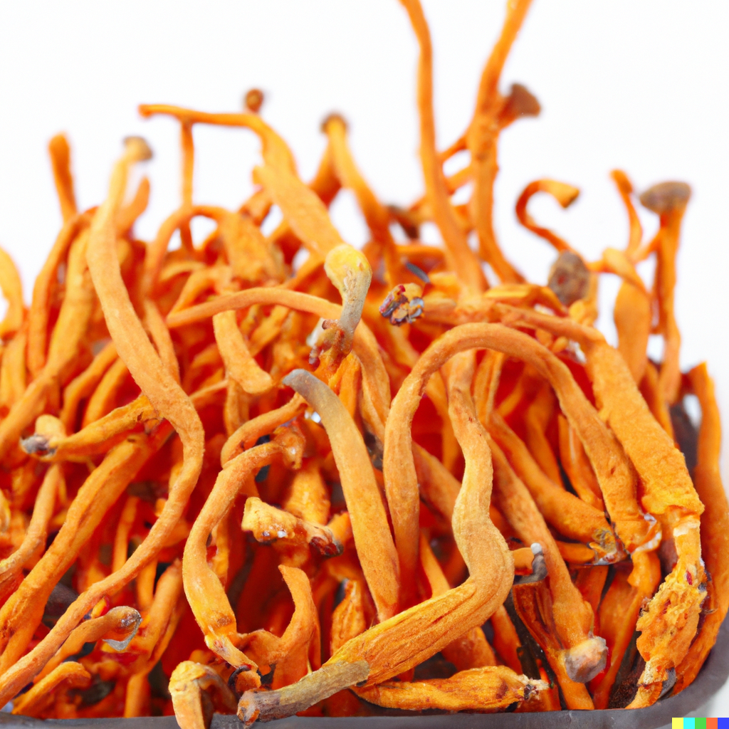 Cordyceps sinensis WS P.E. 10% Polysaccharide, 10:1