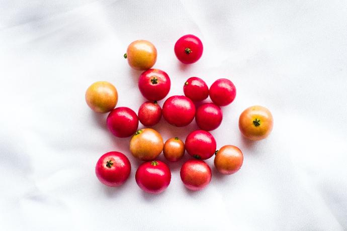 Goji P.E. 50% Polysaccharide
