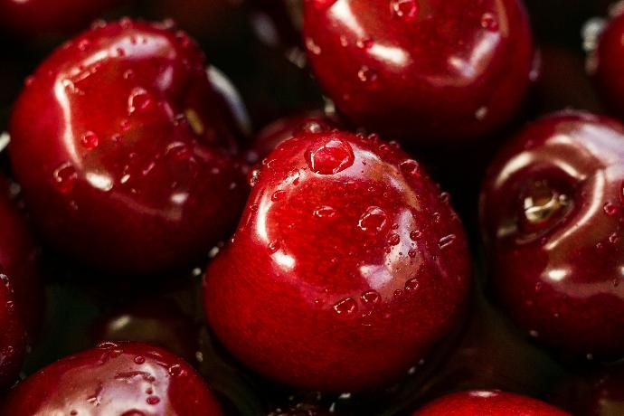 Montmorency Sour Cherry P.E. 50:1