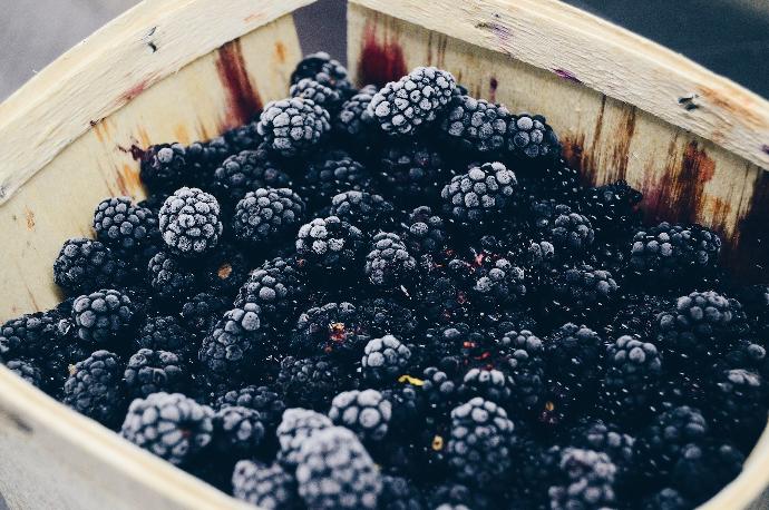 ORGANIC Blackberry P. FD (18806)
