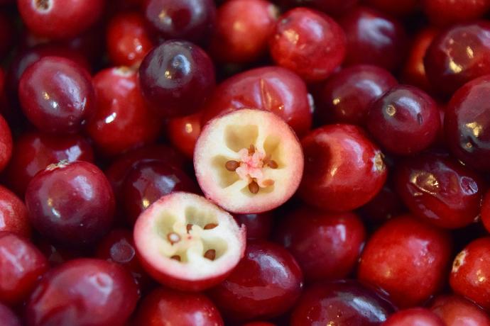 Cranberry P.E. 25% Proanthocyanidine UV