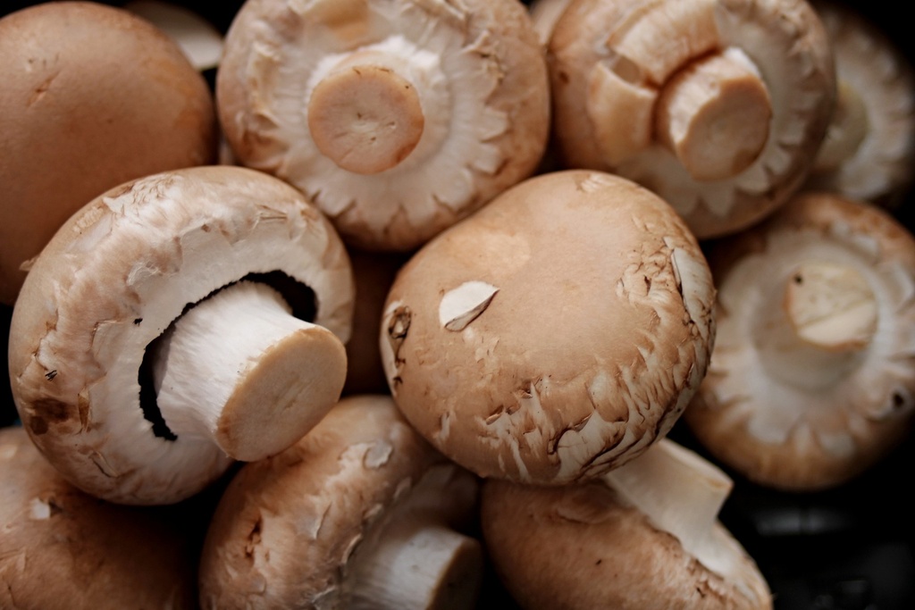 ORGANIC Agaricus Bisporus P. (18758)