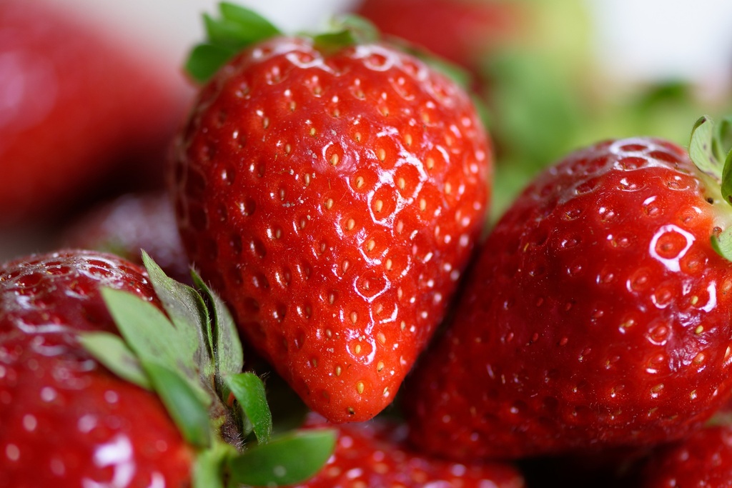 Strawberry P.E. 0.1% Fisetin