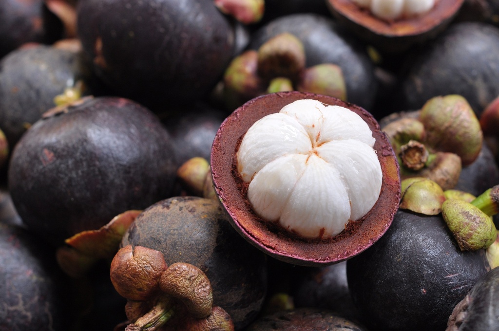 Mangosteen P.E. 20% Mangostin