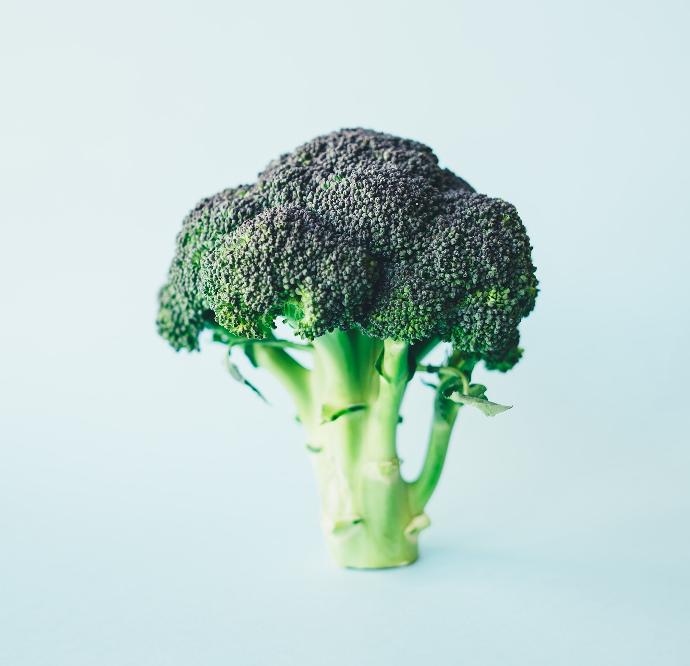 Broccoli Sprout WS P.E. 4:1