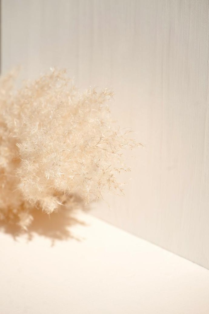 Lion's Mane P.E. 30% Beta-Glucan (18789)