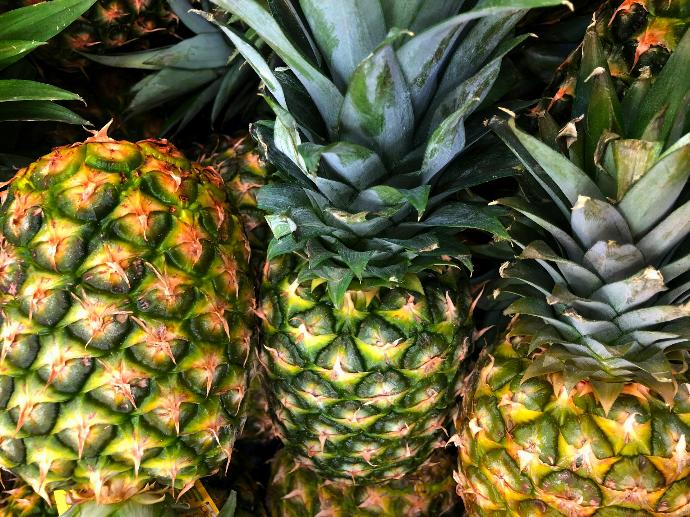 ORGANIC Pineapple P. (18839)