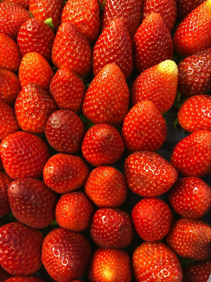 Strawberry P.E. 5,0% Fisetin