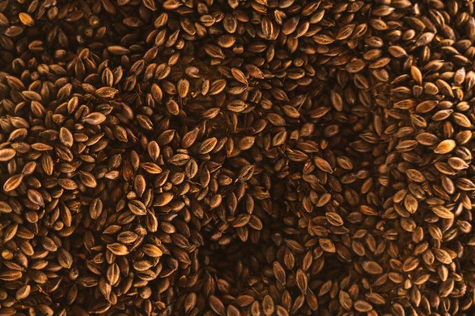 Flax seed P.E. 20% SDG (18659)