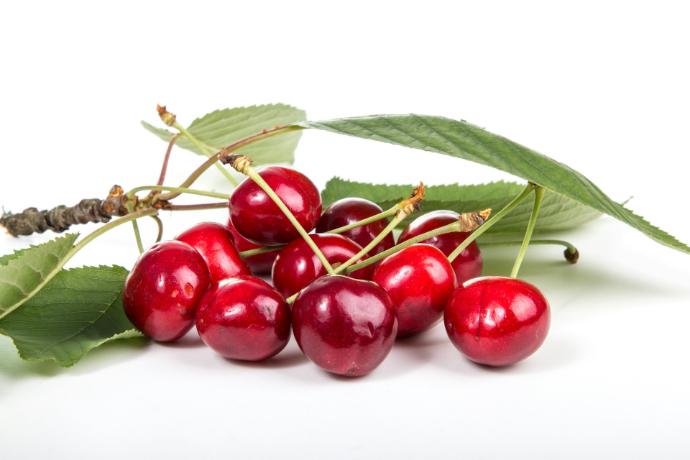 Cherry Flavour P. (16903)