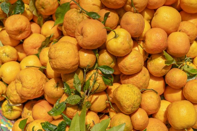Bitter Orange P.E. 60% Bioflavonoids