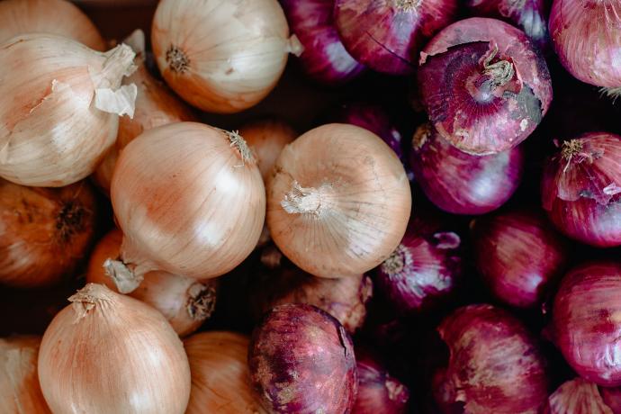 Onion P.E. 70% Quercetin (18845)