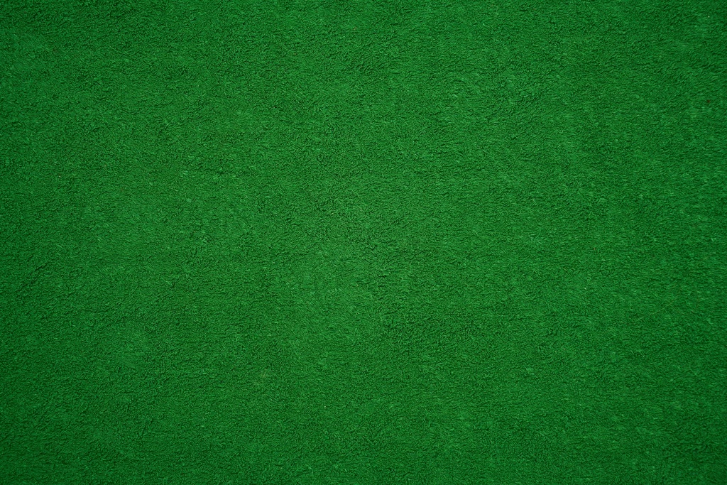 BIO Chlorella P. 50% Protein (18846)