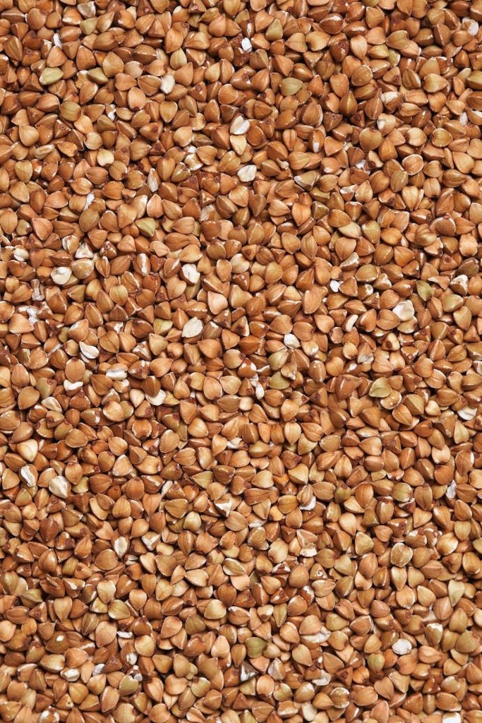 Buchweizenkeim P.E. 30% Rutin