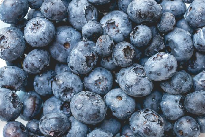 ORGANIC Blueberry P. (18890)