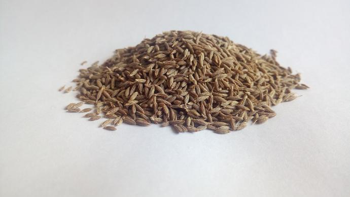 Black Cumin P.E. 20% Thymoquinone