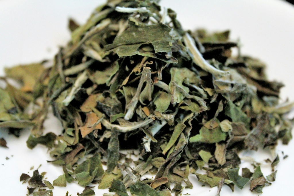 White tea P.E. 50% polyphenols, 8% caffeine (18659)