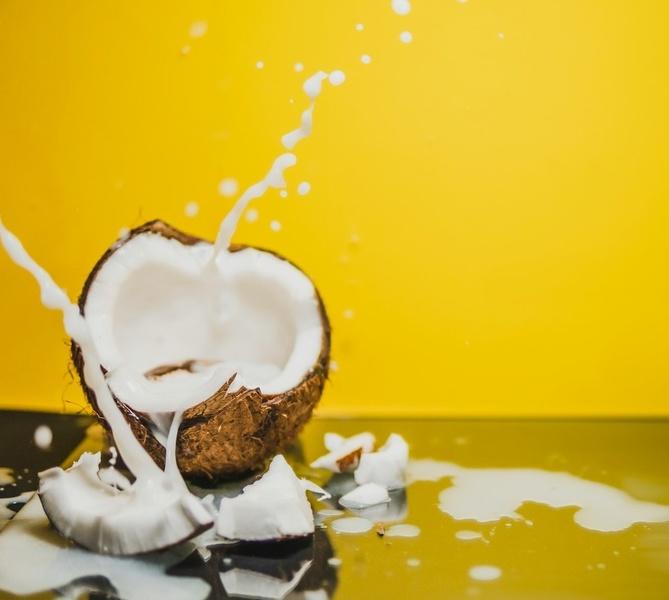 Kokosnussmilch vegan 40 % Fett P. (13080)