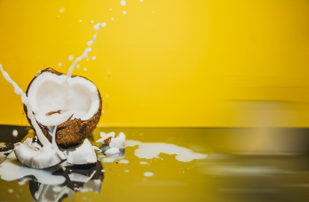 Kokosnussmilch 50 % Fett P. (13080)