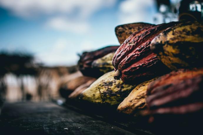 ORGANIC Cocoa P. 10-12% Fat (18876)