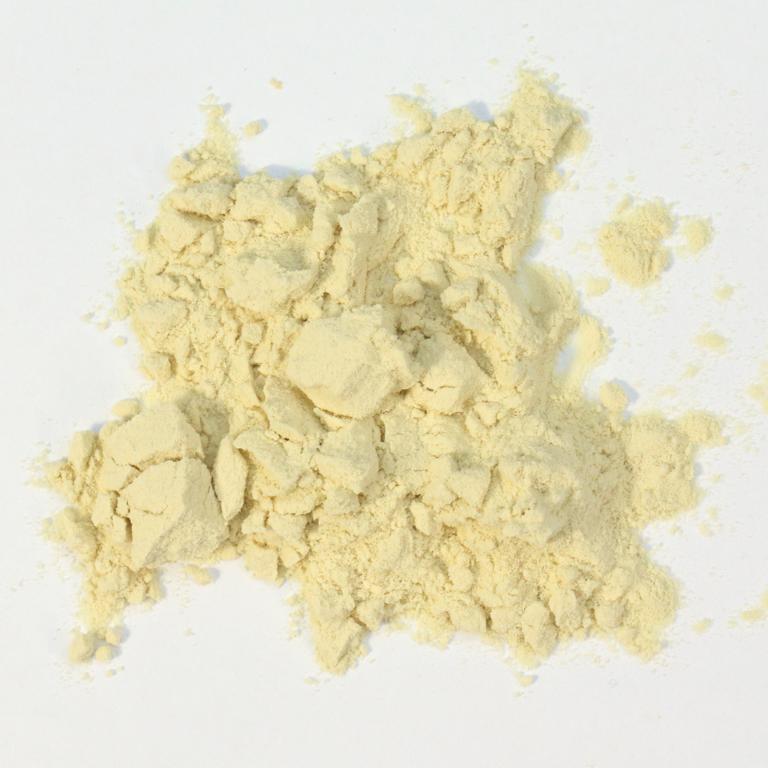 White Chlorella P. (18846)