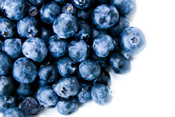 Bilberry P.E. 10% Anthocyanidins