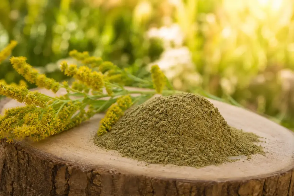 Goldenrod P.E. 7,5% Flavonoids (52995)