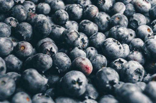 [18569] Blueberry P.E. 25% Anthocyanins (18659)