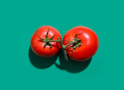 [23579] Tomate P.E. 5% Lycopin