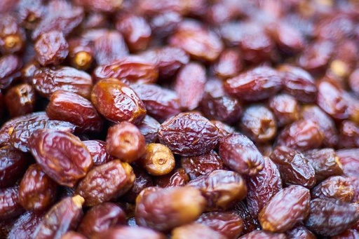 [23740] Date Palm P.E. 0.5% Iron