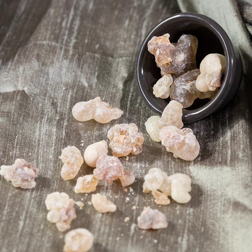 [24257] Boswellic Acids 80% ex Frankincense WS P.E.