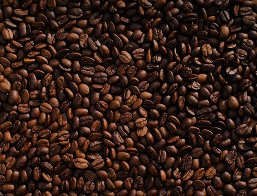 [24258] Coffea Carbo P.
