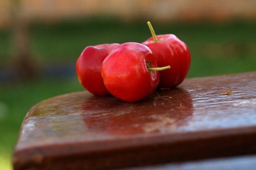 [24275] Acerola P.E. 17% Vitamin C