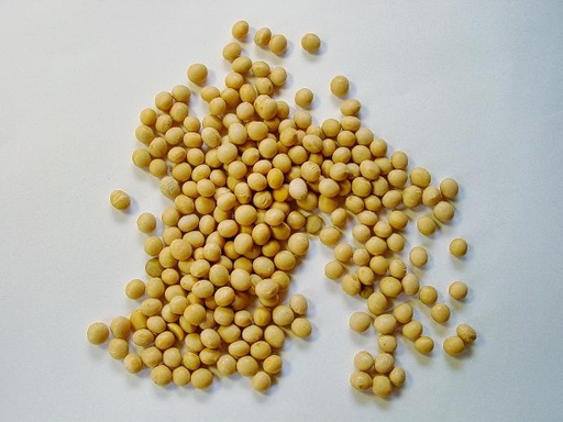 [24335] Soybean P.E. 40% Isoflavones