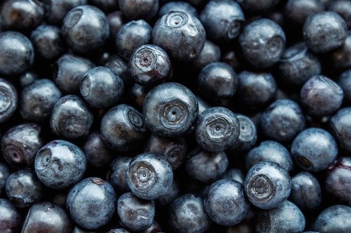 [24378] Bog Bilberry P.E. 10% Anthocyanidins