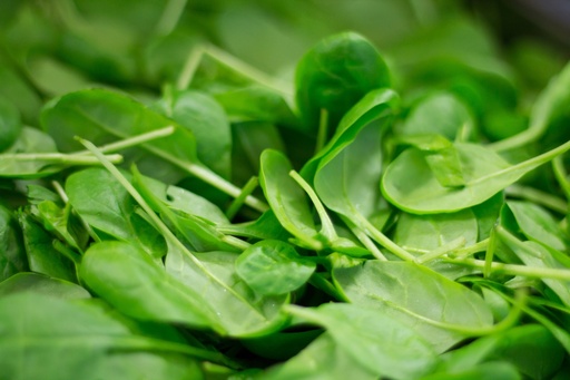 [24479] Spinach P.E. 1% Edcysterones