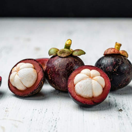 [24785] Mangosteen P.E. 10% Mangostin