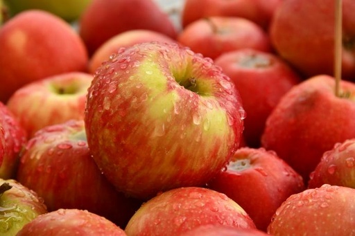 [24877] Apfel P. (gefriergetrocknet) (18806)