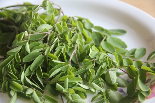 [24915] ORGANIC Moringa WS P. (18827)