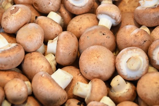 [24968] Chitosan HD ex Agaricus Bisporus P. (18597)