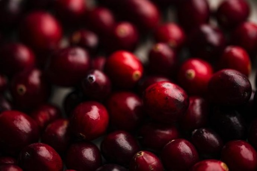 [24995] Cranberry WS P.E. 1% Proanthocyanidins