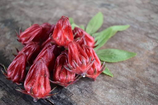 [25087] Roselle (Hibiskus) WS P.E. 4:1
