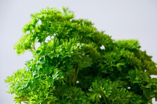 [25236] ORGANIC Parsley P. (18758)