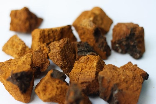 [25407] Chaga P.E. 30 % Beta-Glucan (18789)
